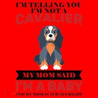 Spoiled King Charles Cavalier Santa Hat thumb 1