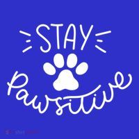 Stay Pawsitive (Positive) Gift Sweatshirt thumb 3