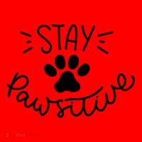 Stay Pawsitive (Positive) Gift Santa Hat thumb 1