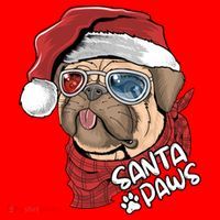 Santa Paws Pug Christmas Tee Kids Boys Xmas Funny Gift Pugmas Gift Santa Hat thumb 1