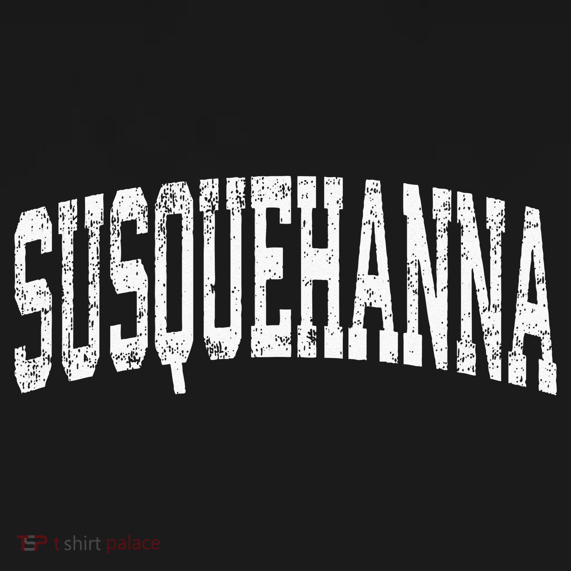 Susquehanna Pennsylvania PA Vintage Athletic Sports T-Shirt