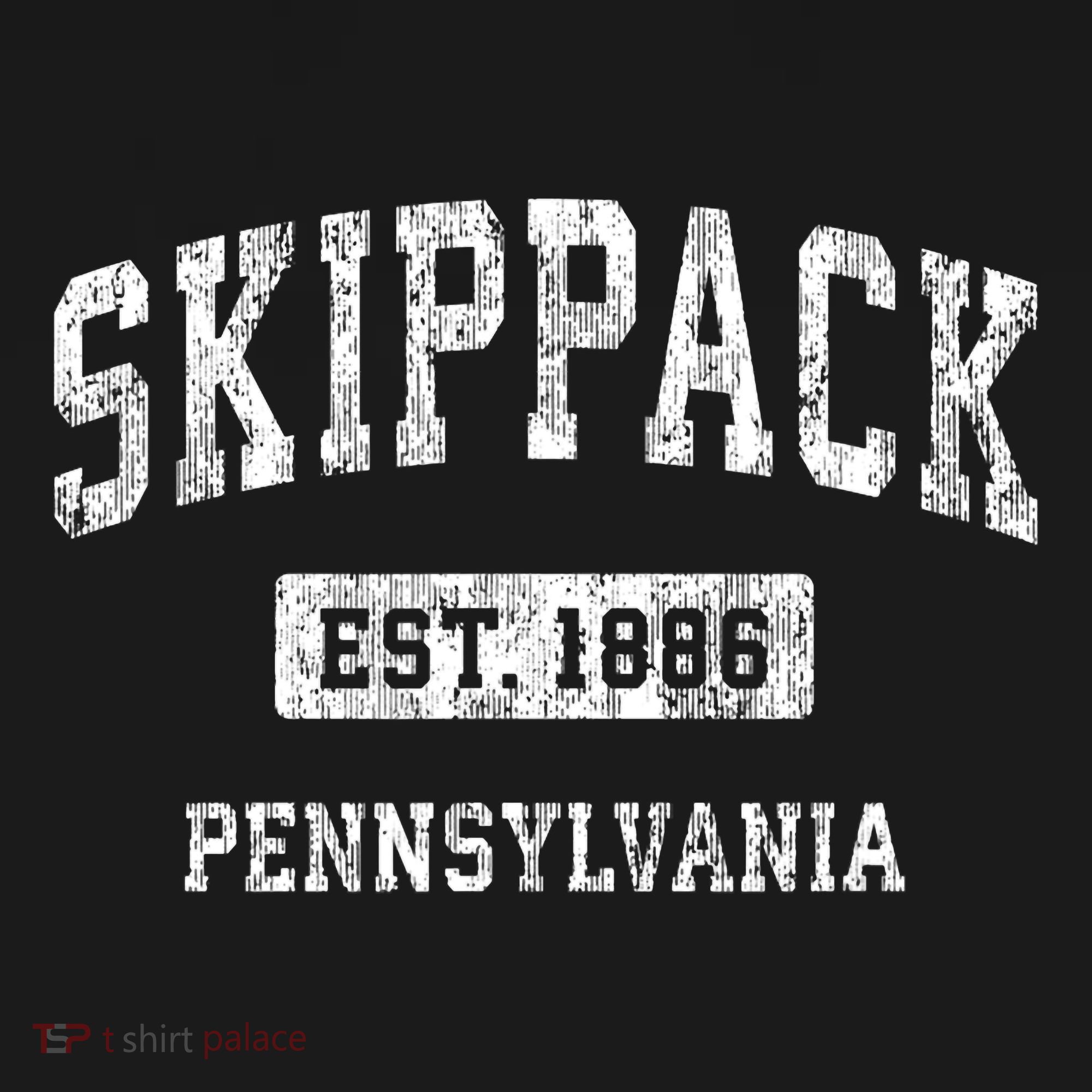 Skippack Pennsylvania Pa Vintage Sports Established T-Shirt
