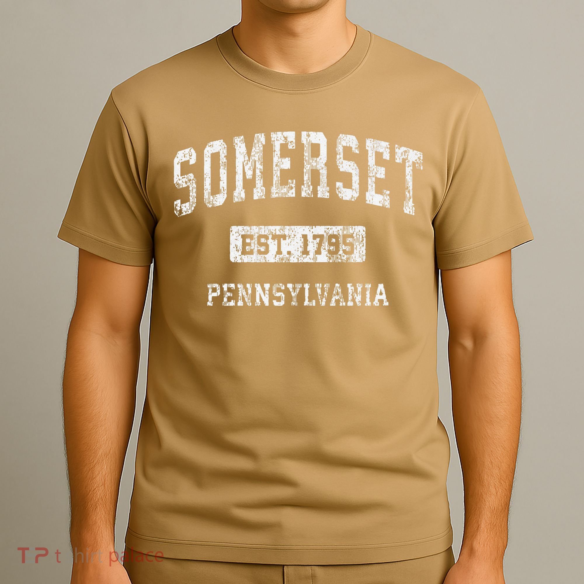 Somerset Pennsylvania Pa Vintage Established T-Shirt
