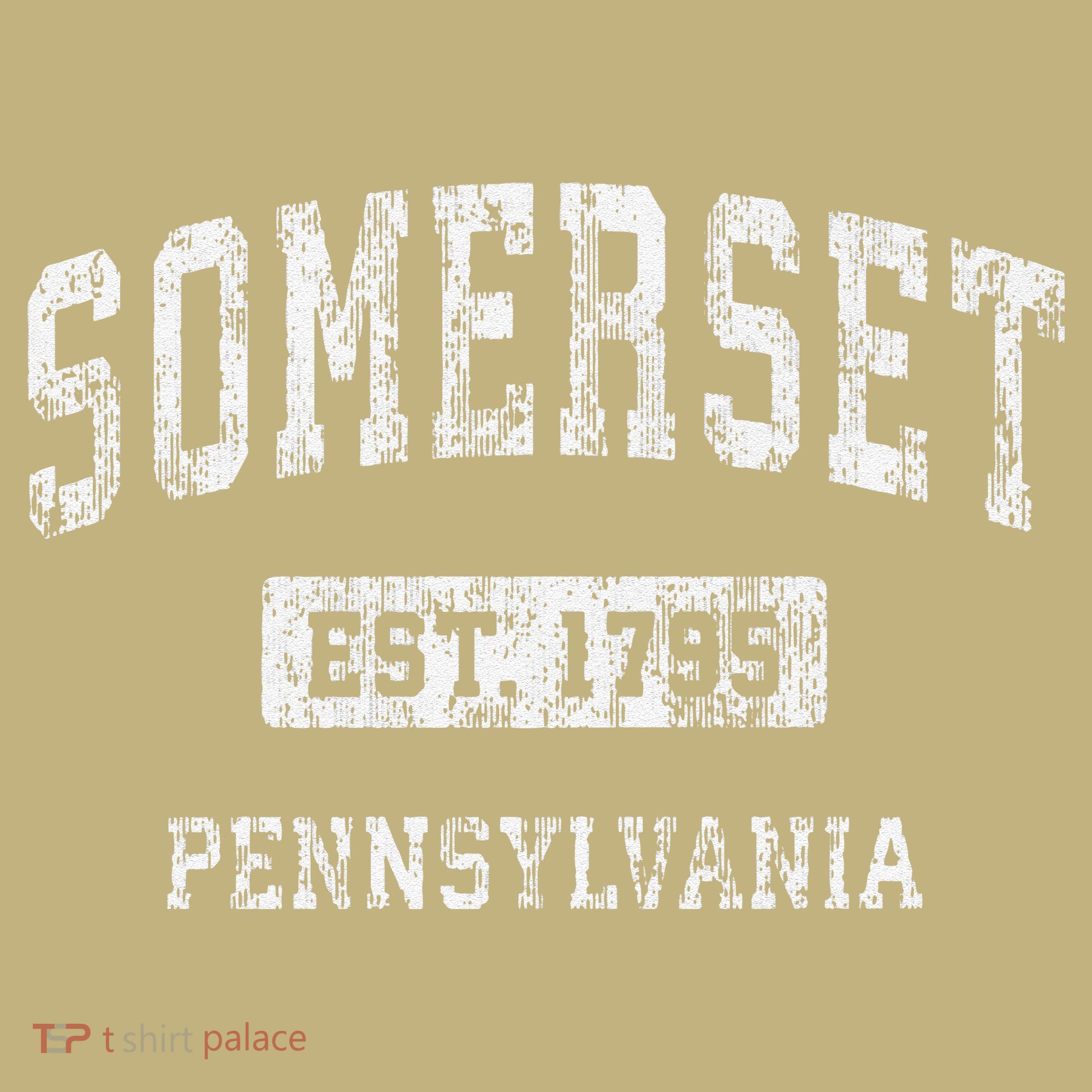 Somerset Pennsylvania Pa Vintage Established T-Shirt