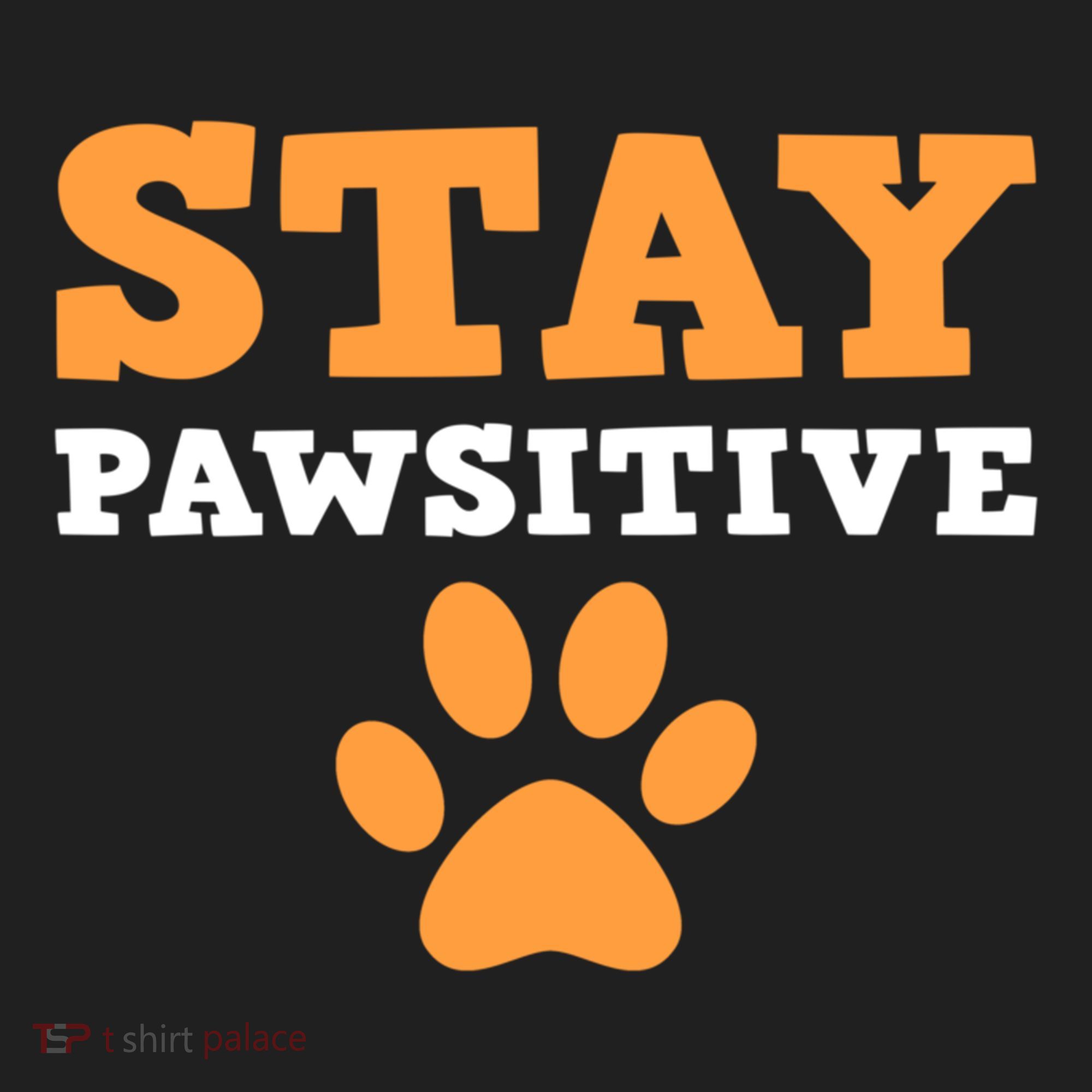Stay Pawsitive Positive And Pet Lover Gift Beanie