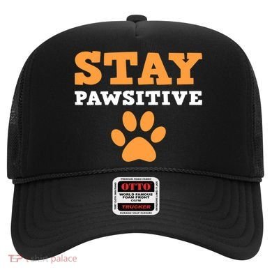 Stay Pawsitive Positive And Pet Lover Gift Hat