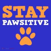 Stay Pawsitive Positive And Pet Lover Gift Visor thumb 3