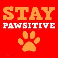 Stay Pawsitive Positive And Pet Lover Gift Santa Hat thumb 1