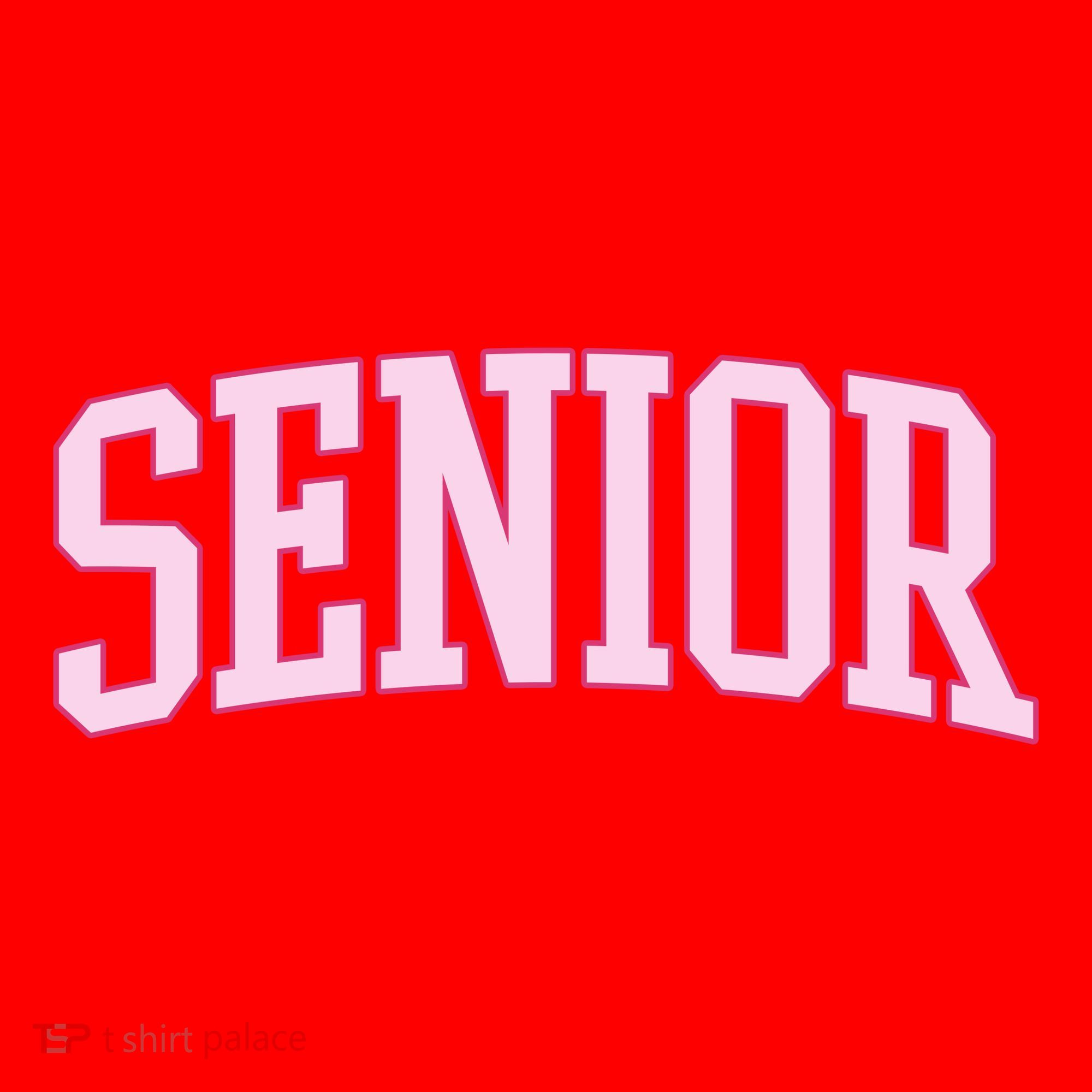 Senior Pink Retro Graduation Santa Hat