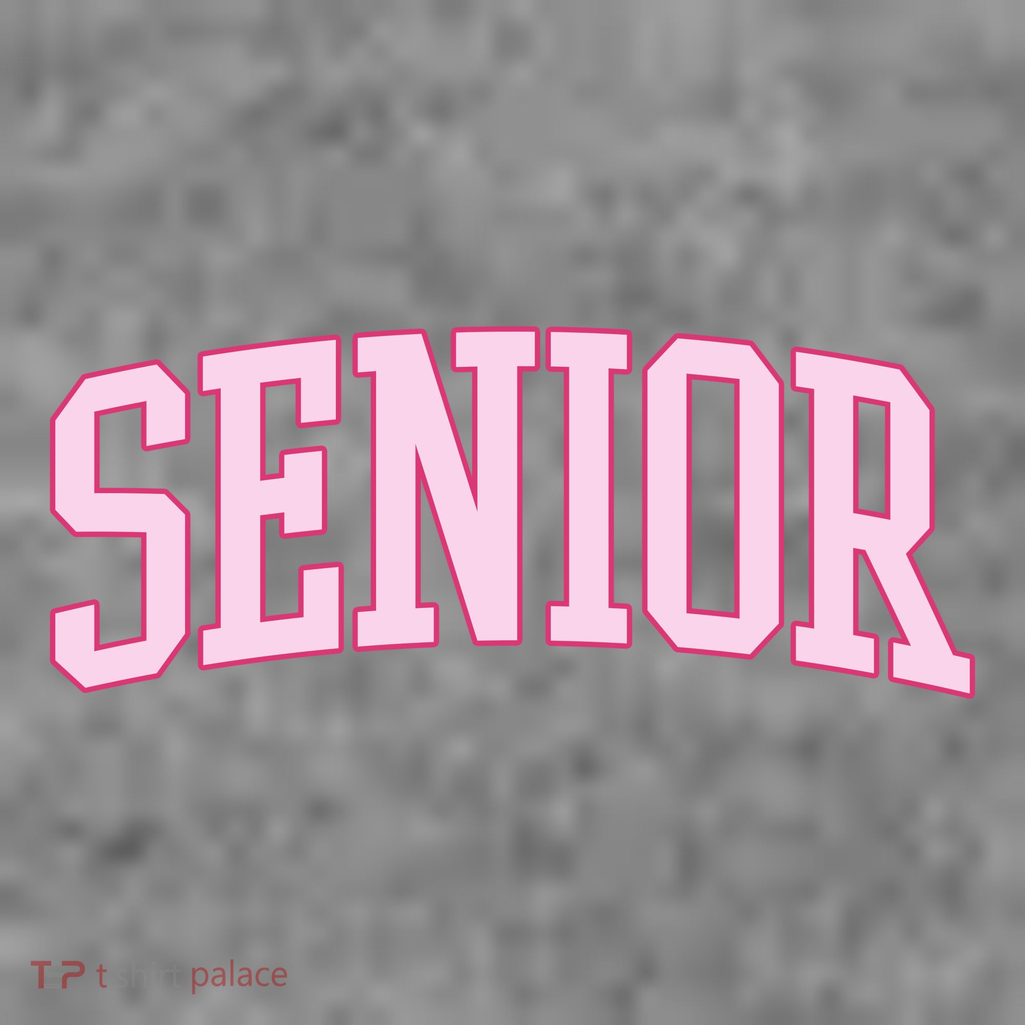 Senior Pink Retro Graduation Women's Long Sleeve Flannel Pajama Set 