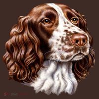 Springer Spaniel Dog T-Shirt thumb 7
