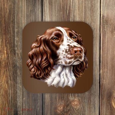 Springer Spaniel Dog Coaster