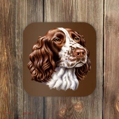 Springer Spaniel Dog Coaster