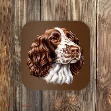 Coaster