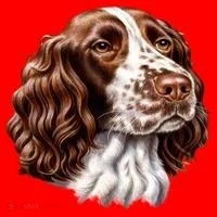 Springer Spaniel Dog Santa Hat thumb 1