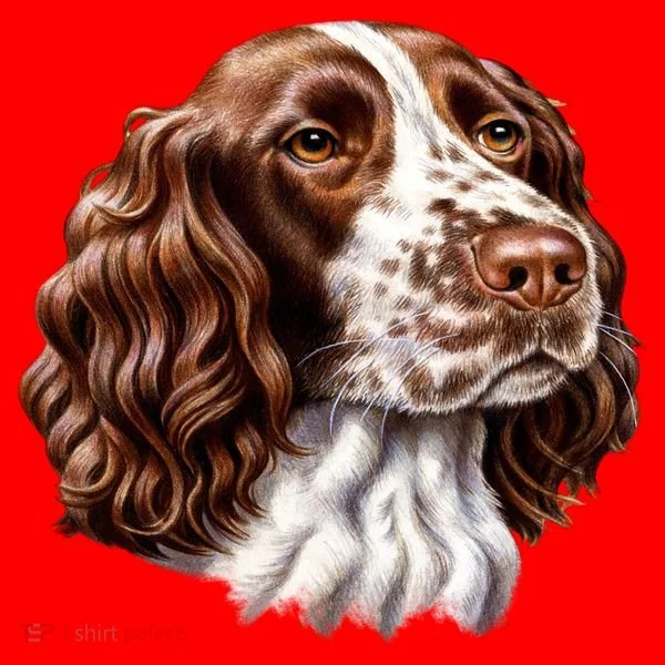 Springer Spaniel Dog Santa Hat