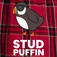 Stud Puffin Seabird Stuf Muffin Iceland Puffin Bird Meaningful Gift Men's Flannel Plaid Pajama Pants thumb 2