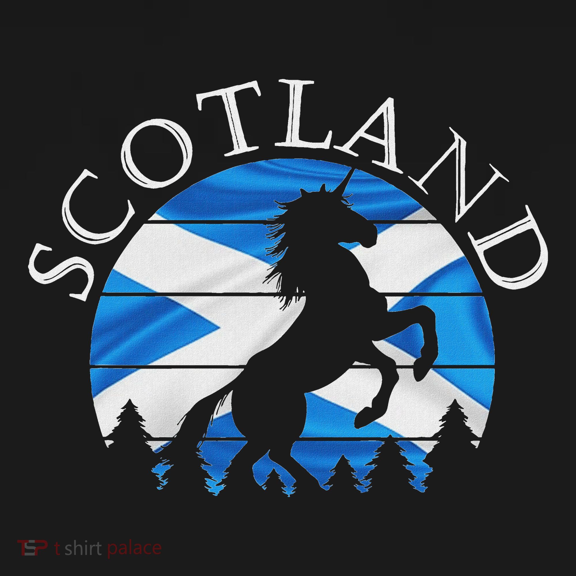 Scottish Pride Scotland Unicorn Scotland Flag Saltire Women's Hoodie