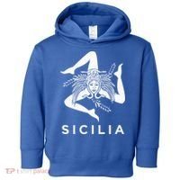 Sicilian Pride Sicilia Sicilian Flag Trinacria Toddler Hoodie thumb 0