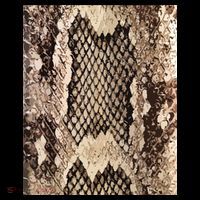 Snakeskin Print Snake Reptile Animal Rattlesnake Coffee Mug thumb 5