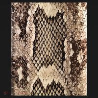 Snakeskin Print Snake Reptile Animal Rattlesnake Baby Bodysuit thumb 2