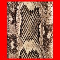 Snakeskin Print Snake Reptile Animal Rattlesnake Santa Hat thumb 1