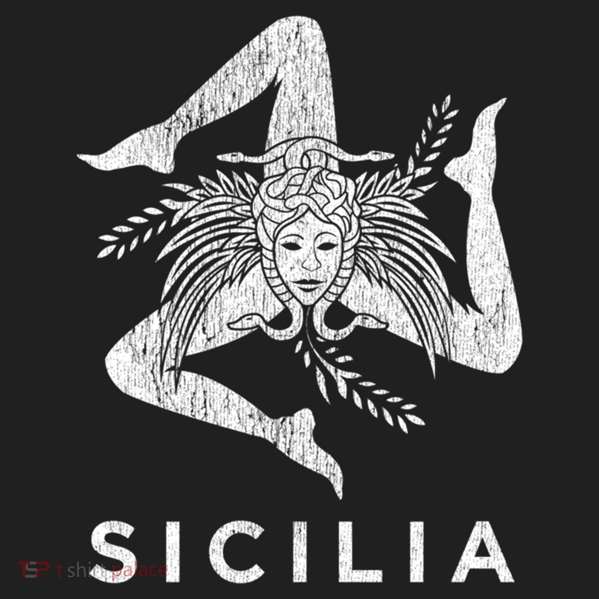 Sicilian Pride Sicilia Sicilian Flag Trinacria Faded Meaningful Gift Beanie