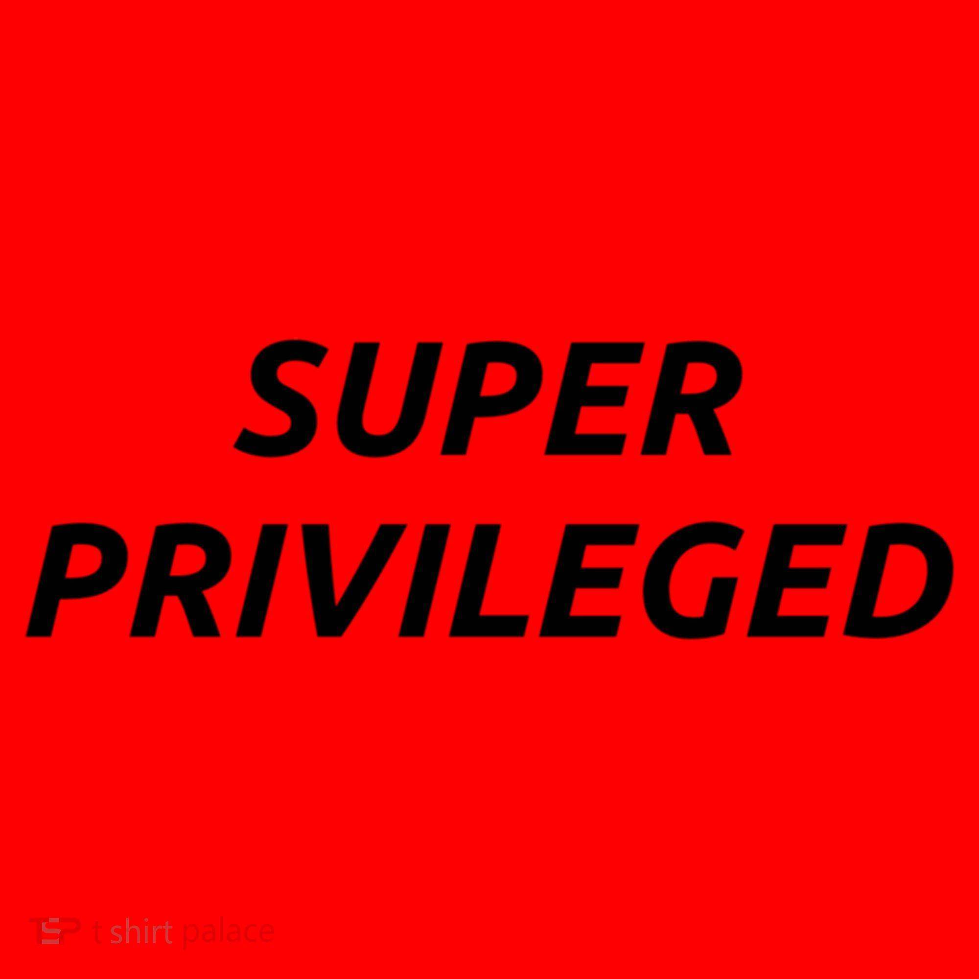 Super Privileged Social Justice Hu Rights Gift Santa Hat