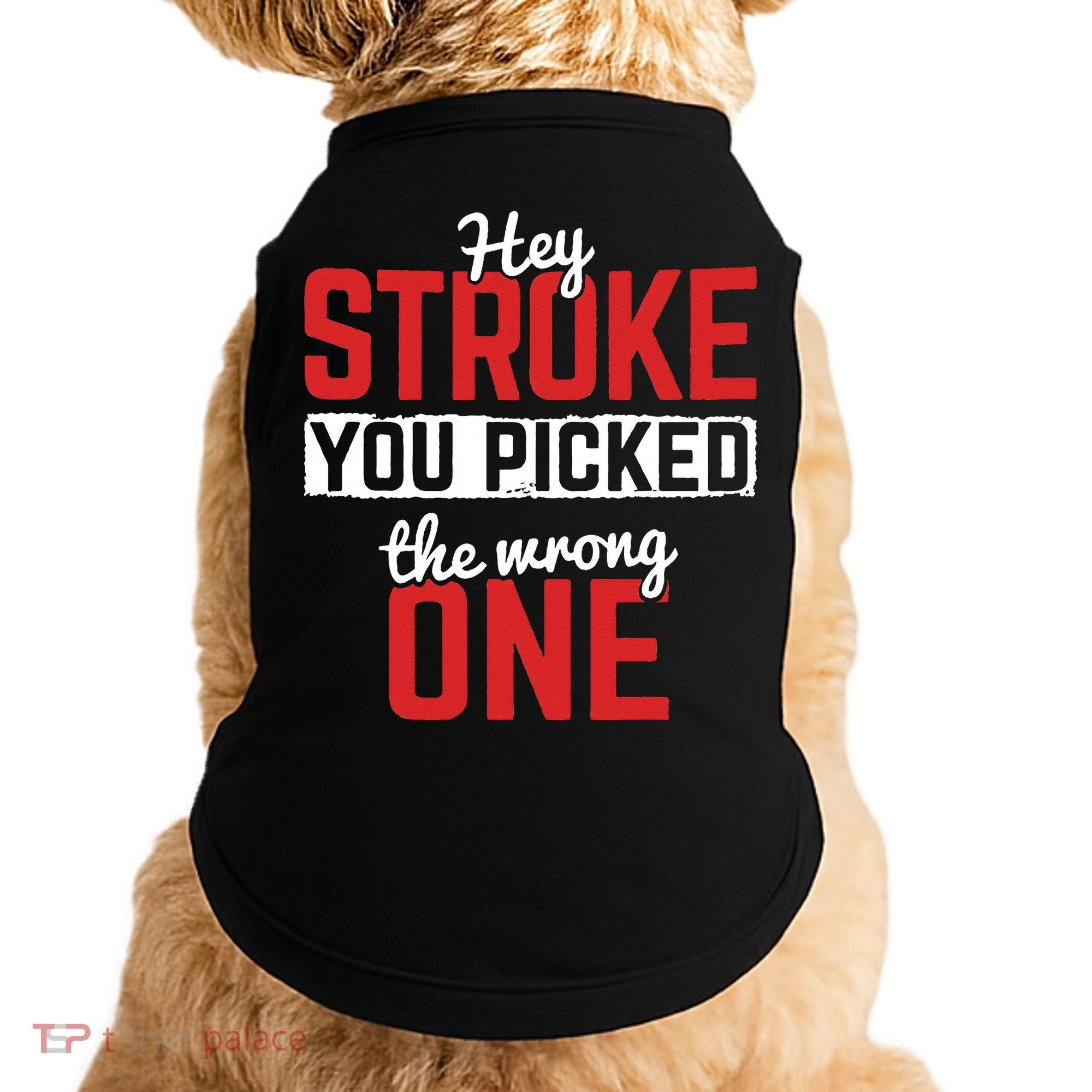 Stroke Picked The Wrong One Stroke Awareness Stroke Survivor Doggie Tank