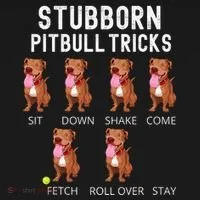 Stubborn Pitbull Tricks Dog Gift Bucket Hat thumb 4