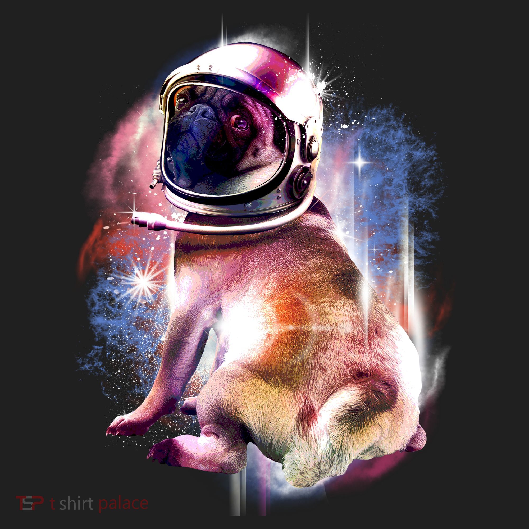 Space Pug Wearing Helmet Tumbler