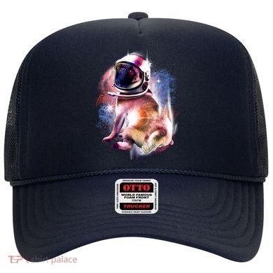 Space Pug Wearing Helmet Hat