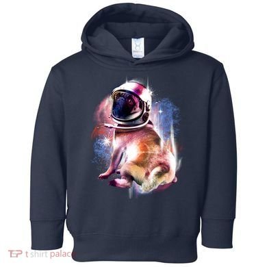 Space Pug Wearing Helmet Toddler Hoodie