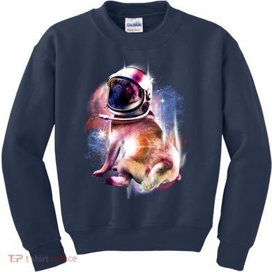 Space Pug Wearing Helmet Kids Sweatshirt