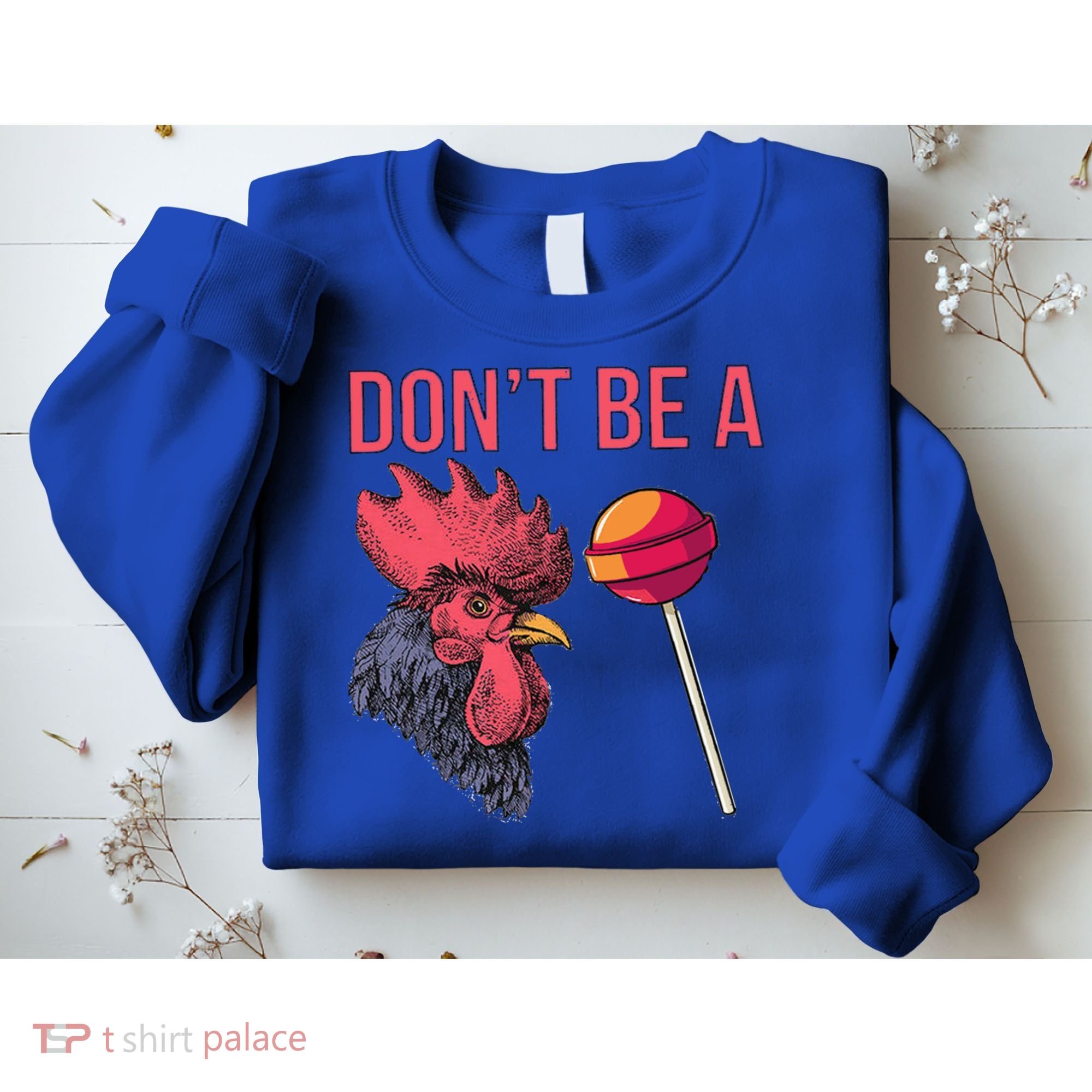 Sarcastic Quote Don't Be A Cock Sucker Funny Humoristic Gift Sweatshirt