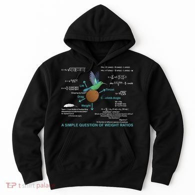 Simple Question Of Weight Ratios Hoodie