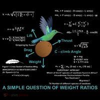 Simple Question Of Weight Ratios Women's Tank Top thumb 5