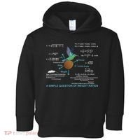 Simple Question Of Weight Ratios Toddler Hoodie thumb 0