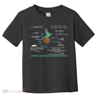 Simple Question Of Weight Ratios Toddler T-Shirt