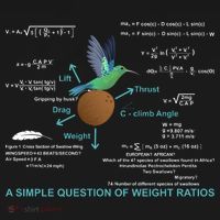 Simple Question Of Weight Ratios Women's Long Sleeve Shirt thumb 2