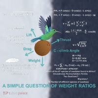 Simple Question Of Weight Ratios Sport-Tek Competitor United Soccer Jersey thumb 4