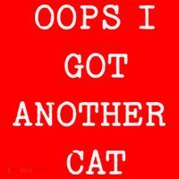 Sarcastic Quote Saying Gift Oops I Got Another Cat Mom Santa Hat thumb 1