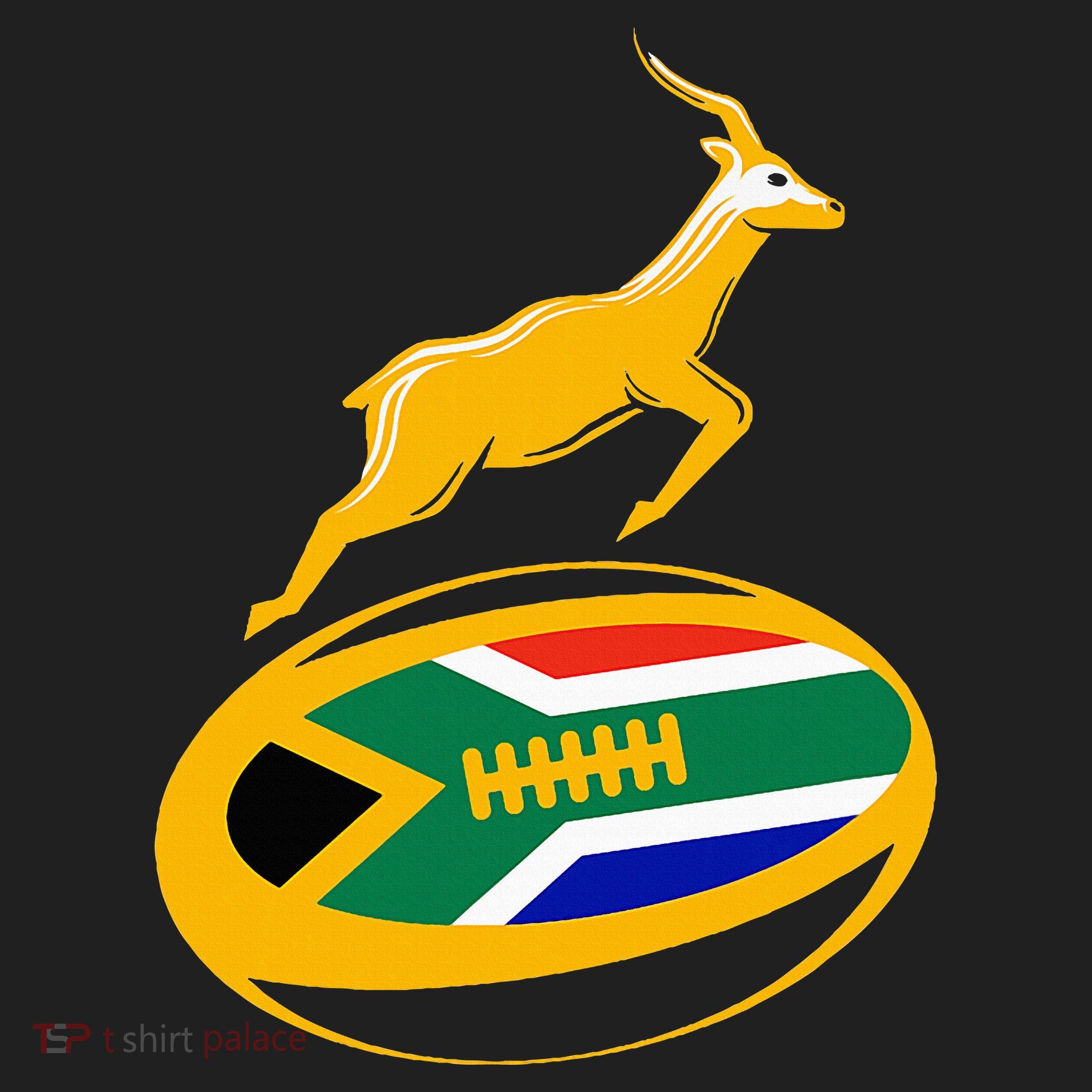 Springbok Rugby Ball & South African Flag Beanie