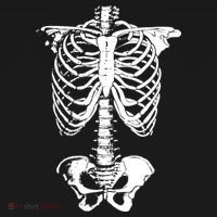 Skeleton Rib Cage Ornament thumb 1