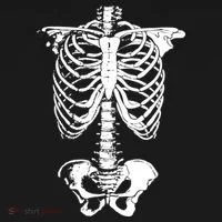 Skeleton Rib Cage Kids Sweatshirt thumb 2