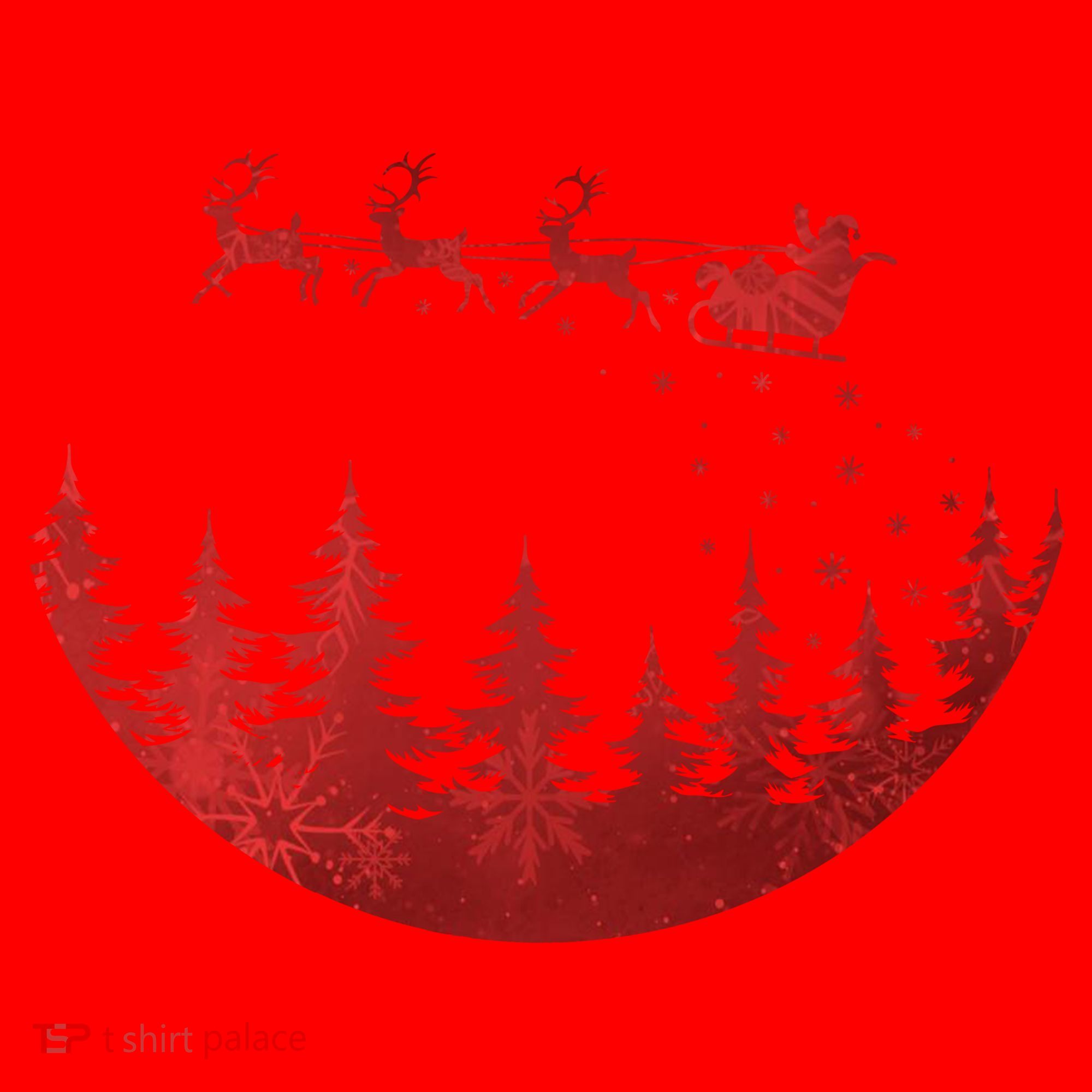 Santa Reindeer Christmas Festive Santa Hat