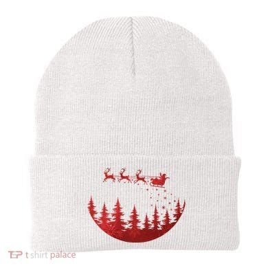 Santa Reindeer Christmas Festive Beanie