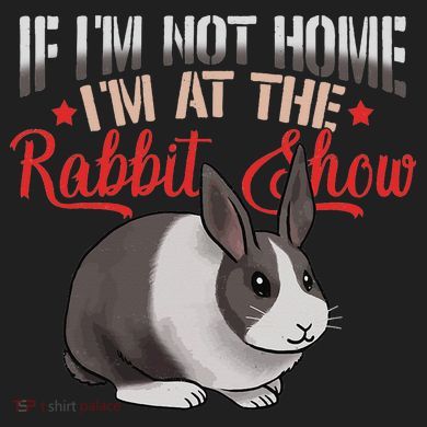 Show Rabbit For Dutch Rabbit Owner Comfort Colors Heavyweight Long Sleeve T-Shirt