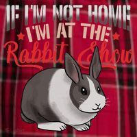 Show Rabbit For Dutch Rabbit Owner Men's Flannel Plaid Pajama Pants thumb 2