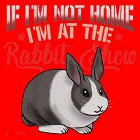 Show Rabbit For Dutch Rabbit Owner Santa Hat thumb 1